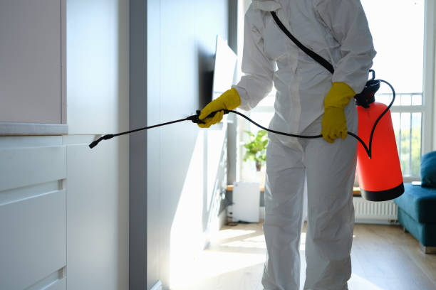 Best Organic or Eco-Friendly Pest Control  in Marion, TX